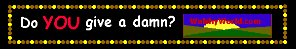 A freinds web page.